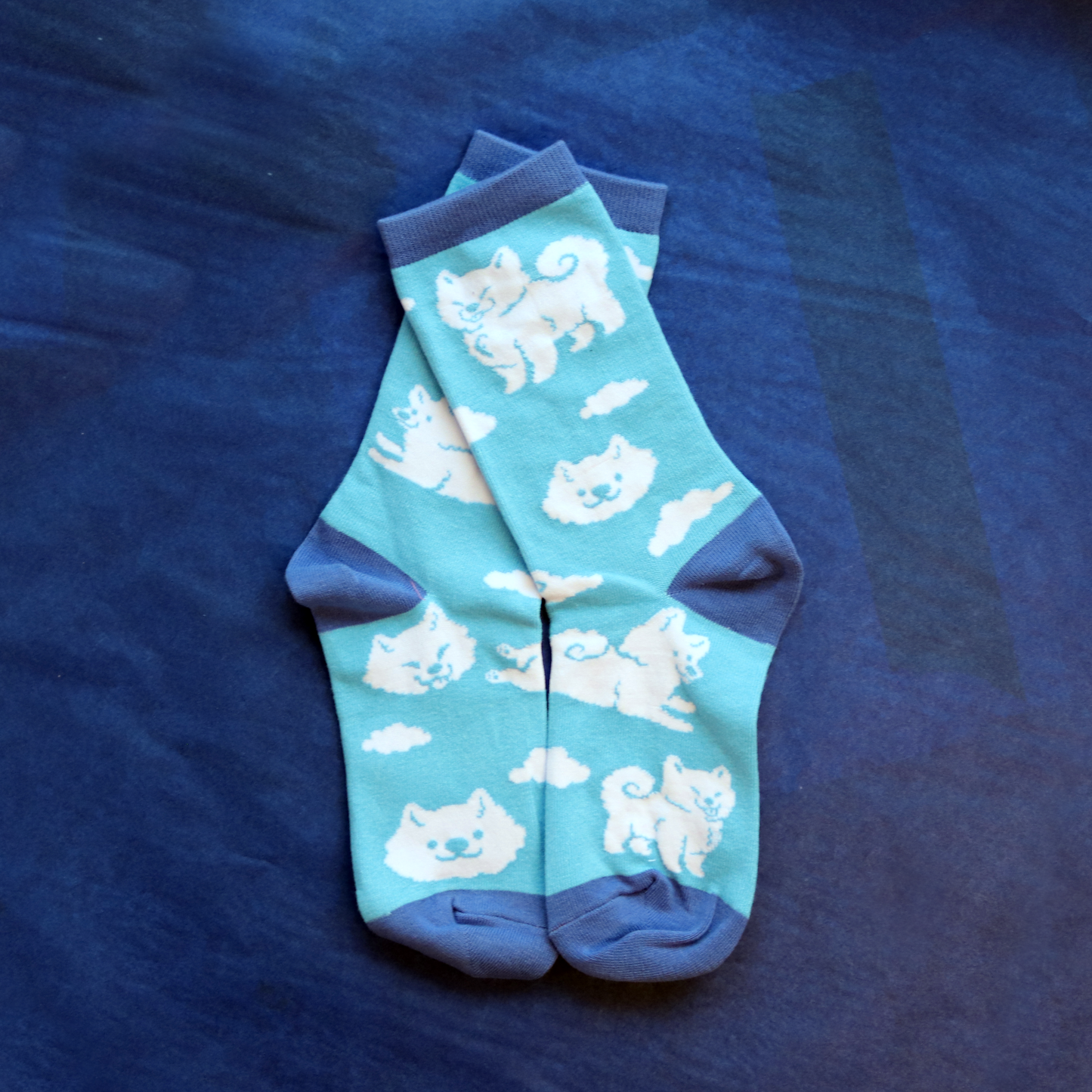 Cloud Dog Socks