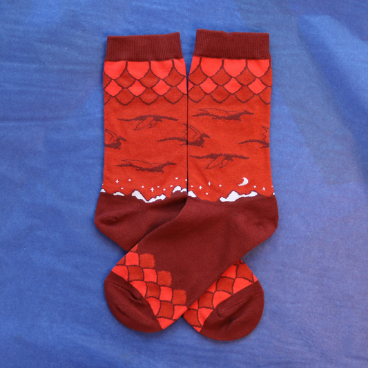 Dragon Isle Socks