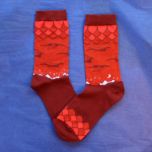 Dragon Isle Socks