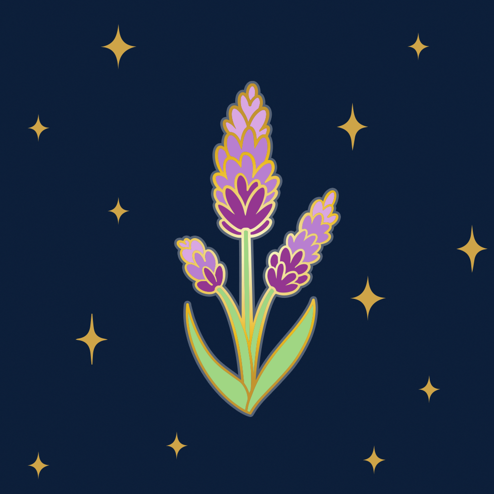 January 2026 Pin & Tonic Club Designs!